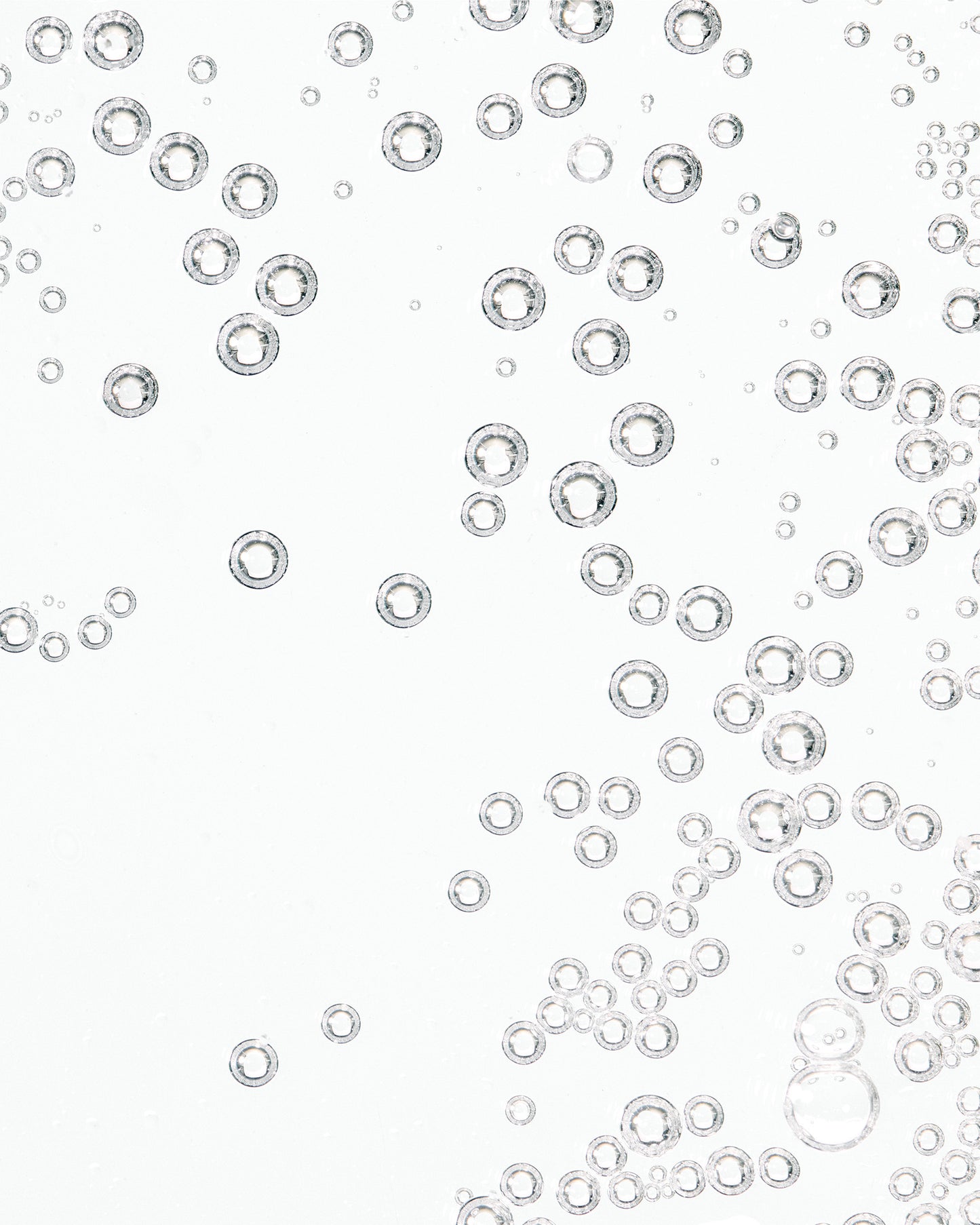 The Guidance - Neuroessence