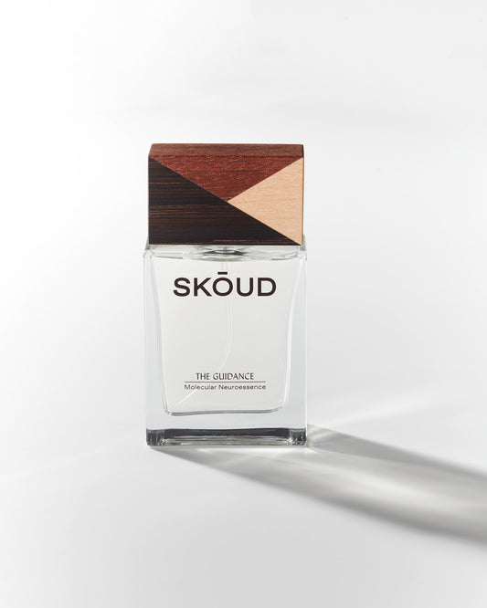 The Guidance - Neuroessence