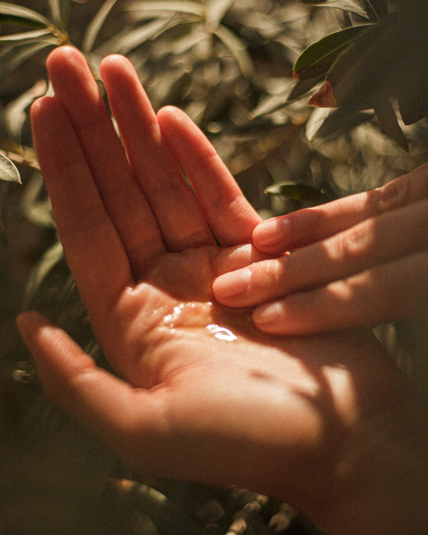 T-01 Bakuchiol Body Oil
