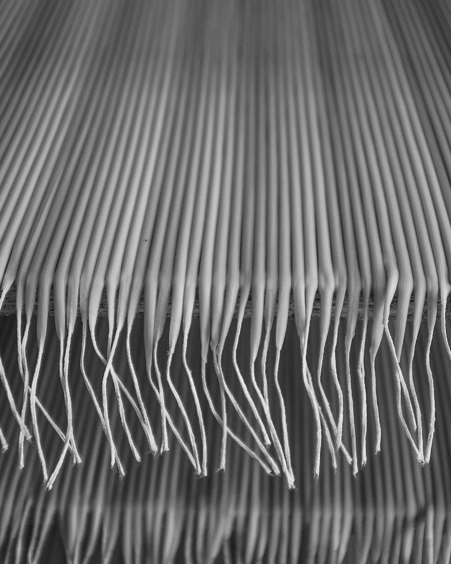 Geburtstagskerzen aus Bienenwachs 5 Stk.