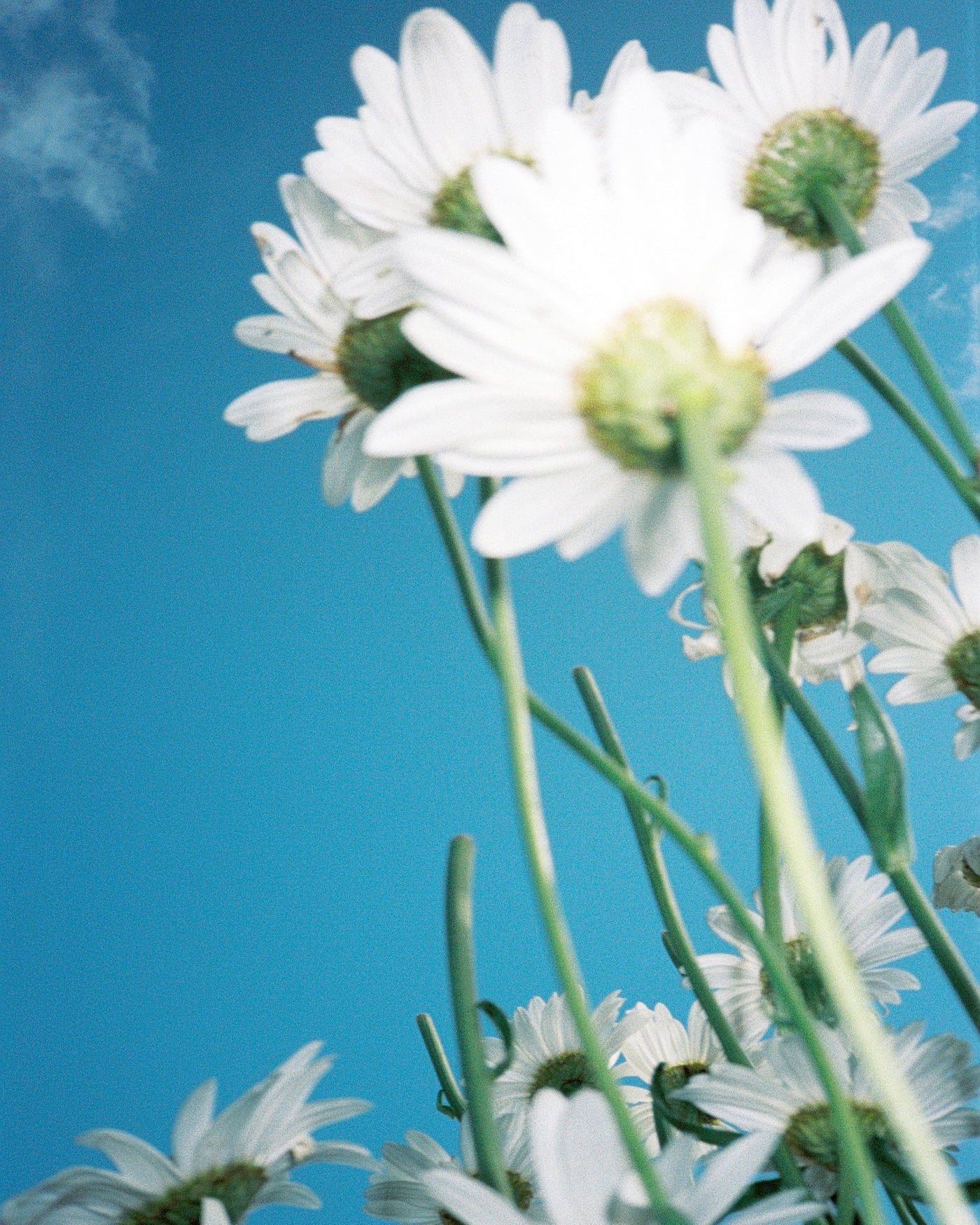 BREATHE - Natural Ambience Spray