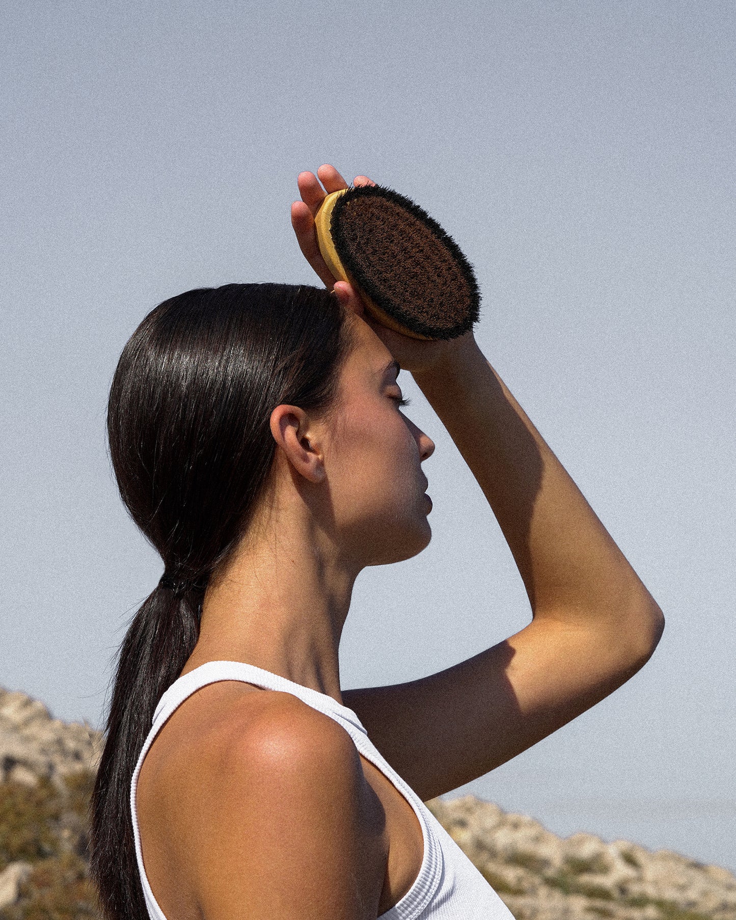 The Ionic Dry Brush – Trockenbürste