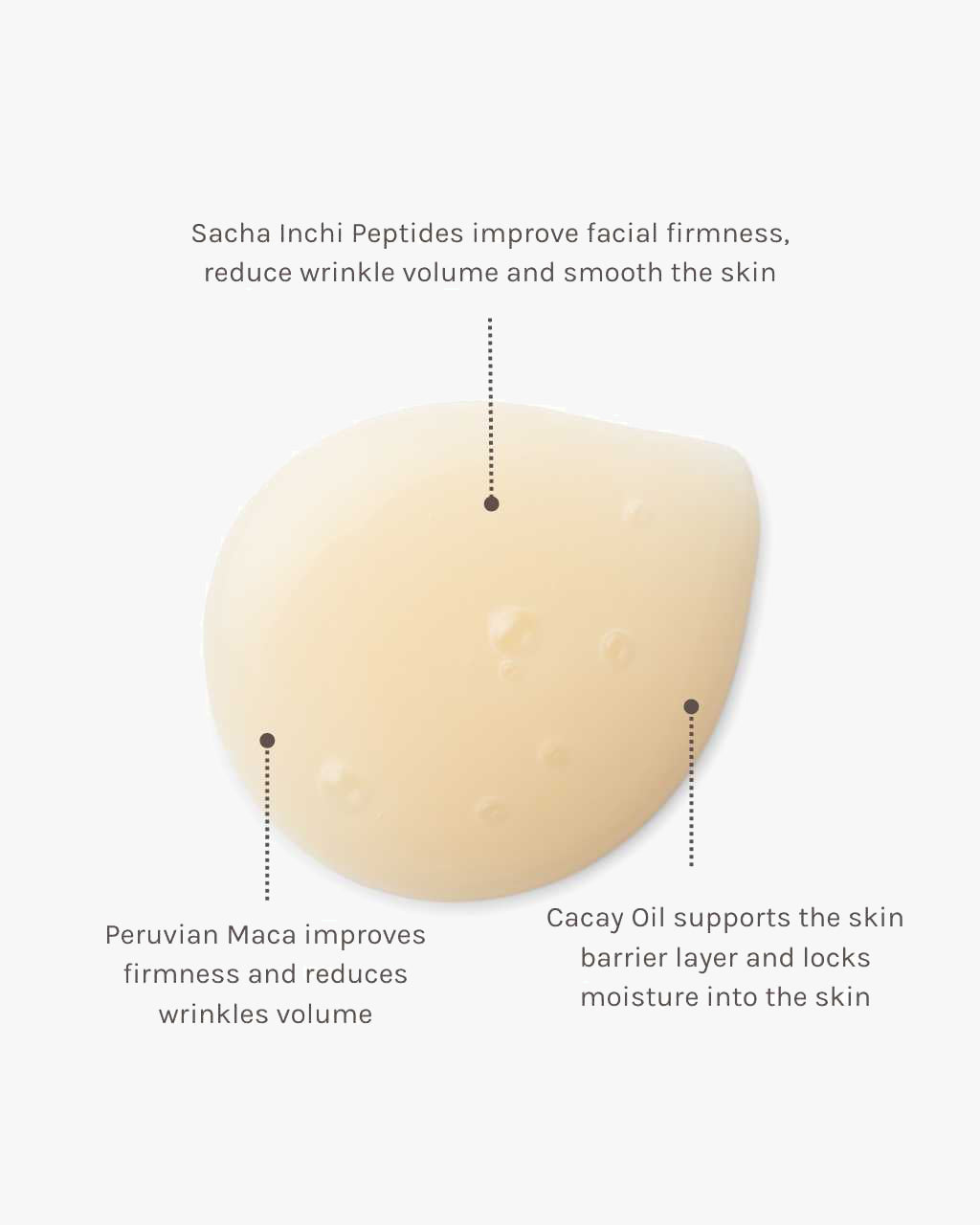Peptide 360 Serum