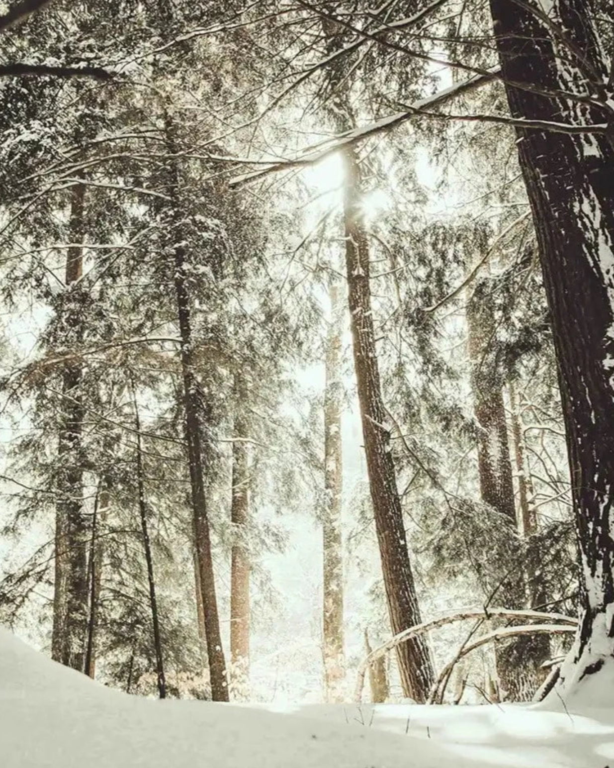 Ätherische Ölmischung - Winterzeit