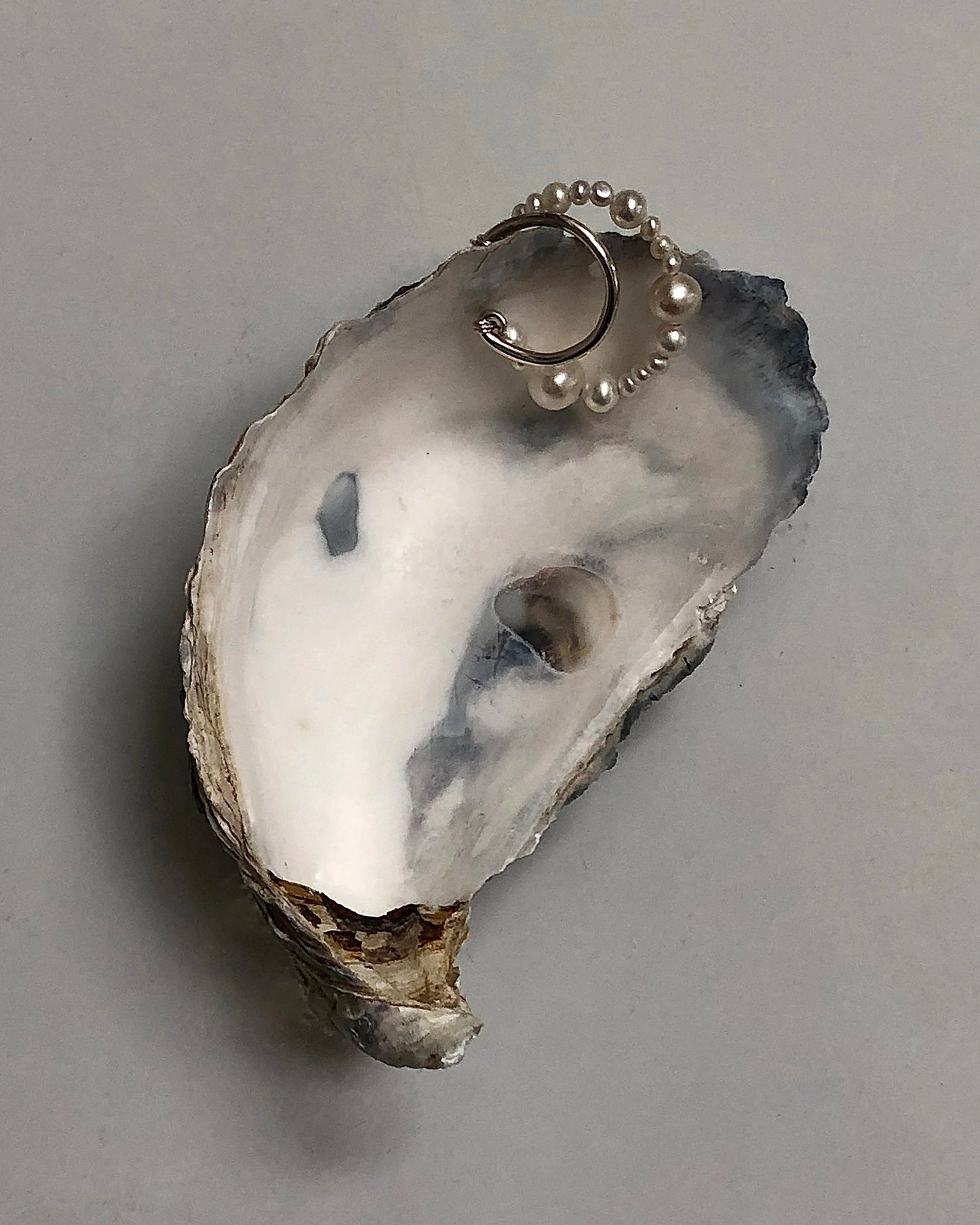 Pearl Glyzinia Eacuff Double