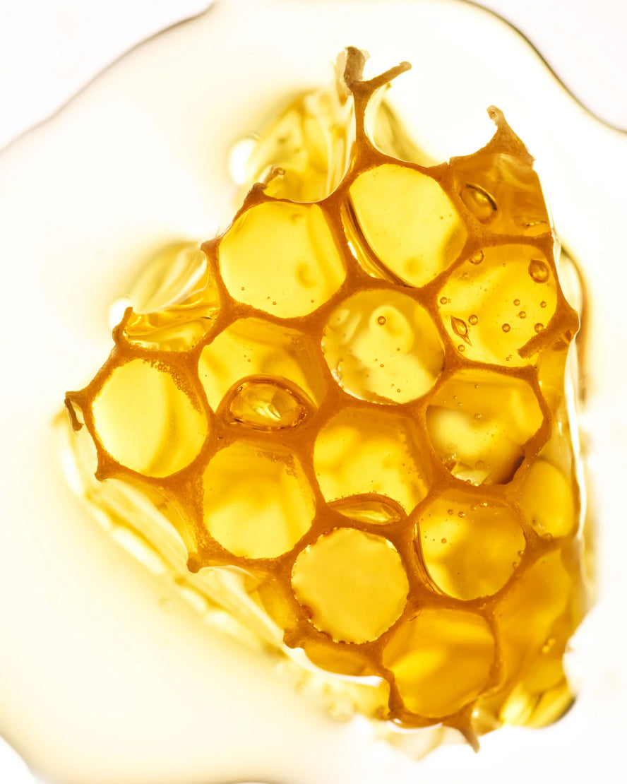 The Bliss Rich Cream