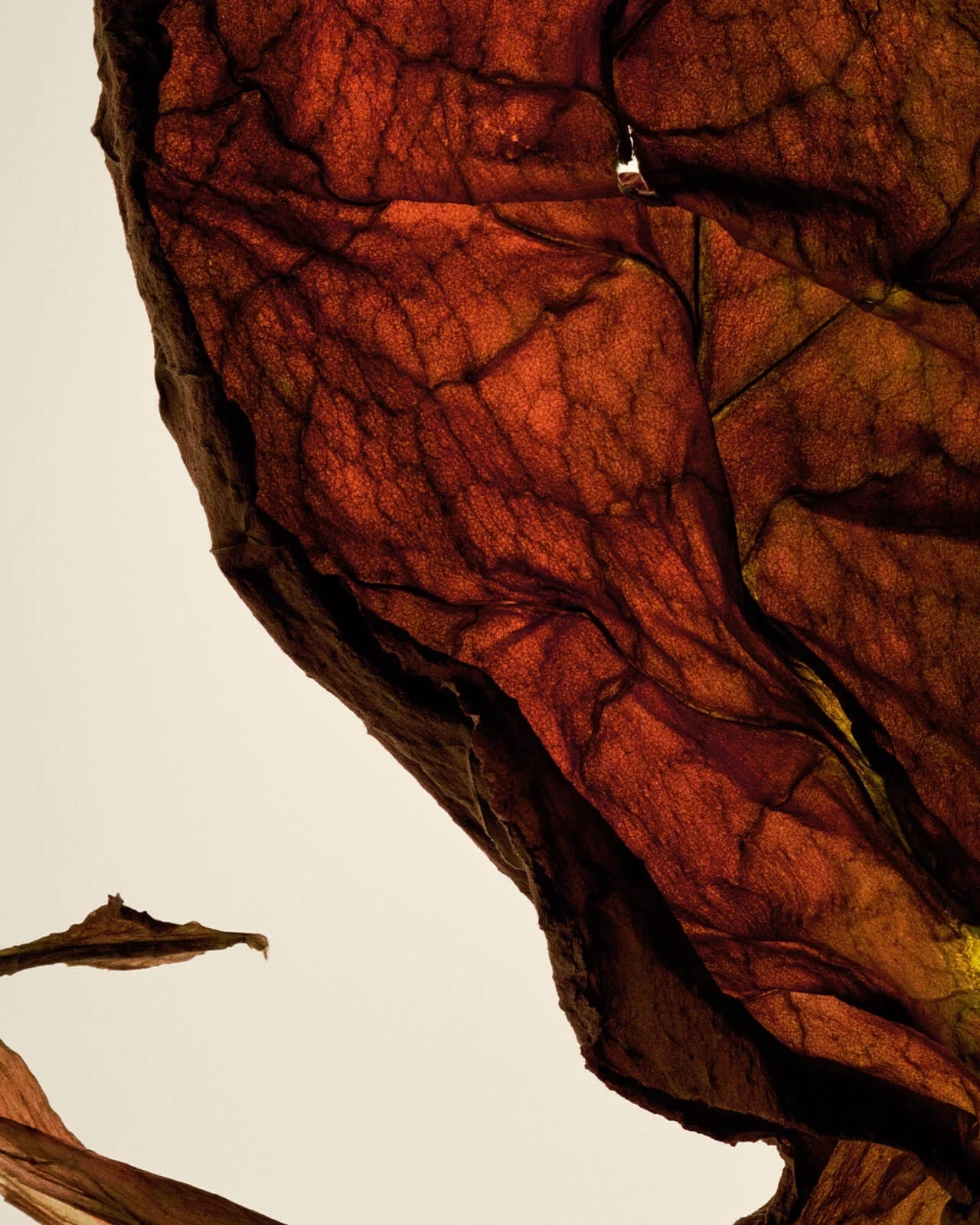 Maghrib – Roll-on Perfume Oil