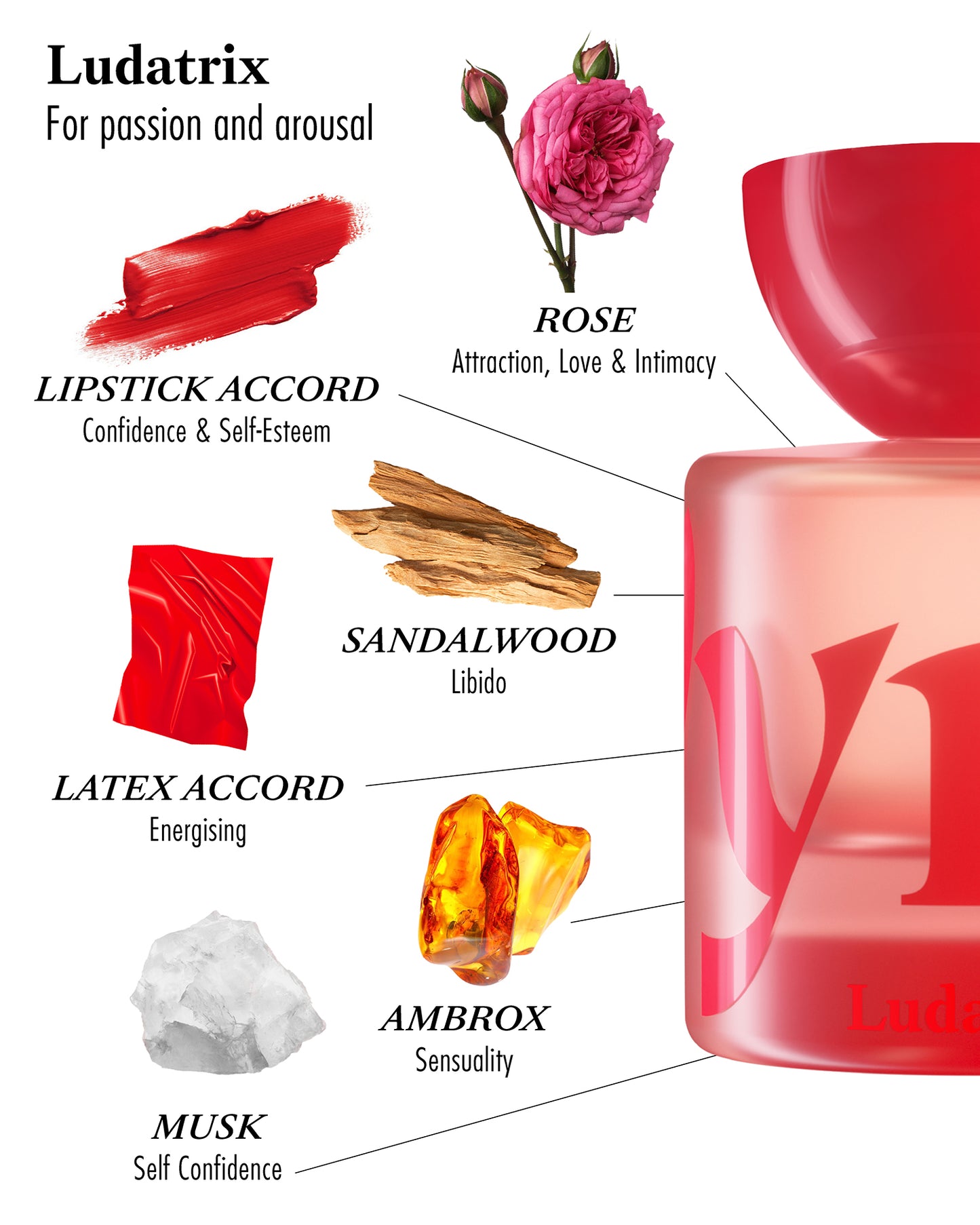 Eau de Parfum - Ludatrix