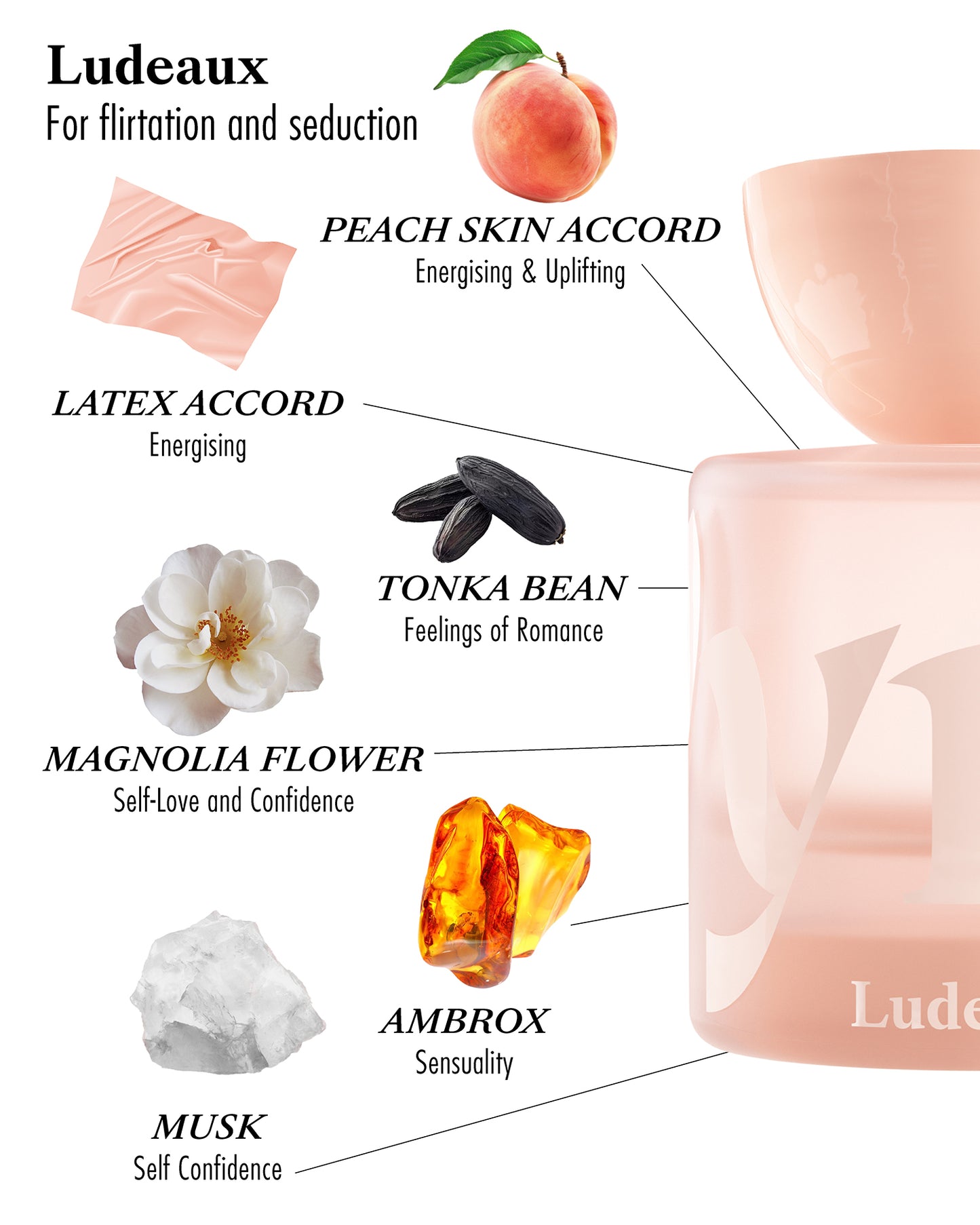 Eau de Parfum - Ludeaux