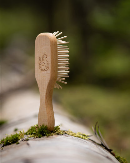 Mini Haarbürste