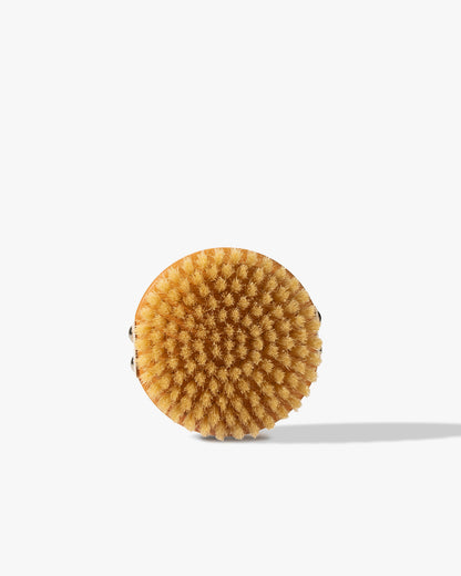 The Dry Brush – Trockenbürste