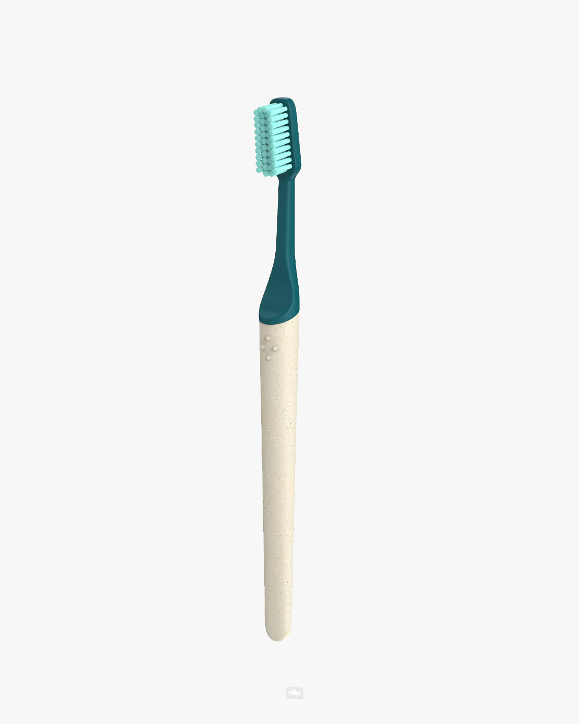 Toothbrush with replaceable head “soft” NEW